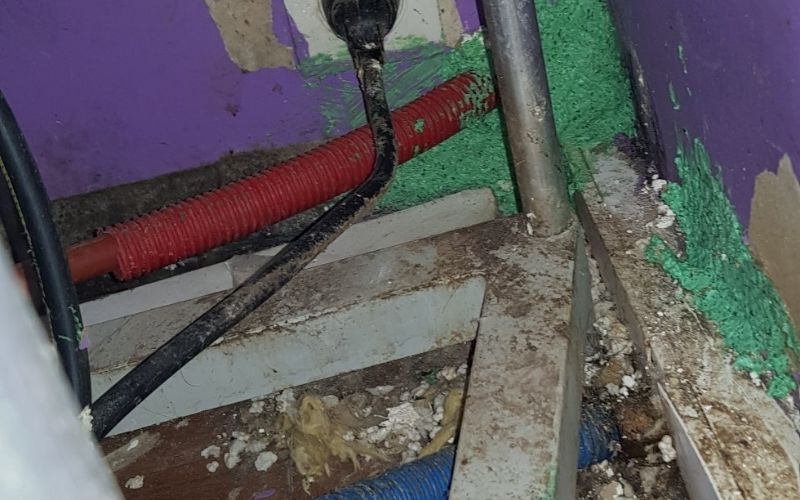 Service de dératisation professionnelle à Créteil