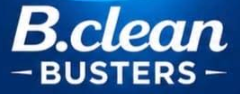 B.clean Busters